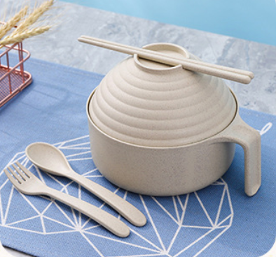5-Piece Noodle Bowl Set with Lid & Chopsticks