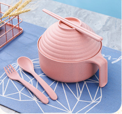 5-Piece Noodle Bowl Set with Lid & Chopsticks