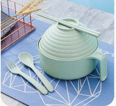 5-Piece Noodle Bowl Set with Lid & Chopsticks
