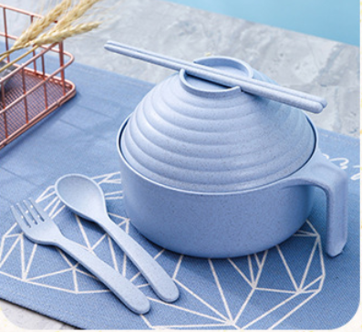 5-Piece Noodle Bowl Set with Lid & Chopsticks